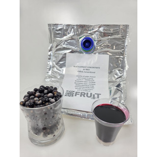 Blackcurrant Concentrate 65° Brix – Chilled, 250 kg Drums, 20 Tons Available