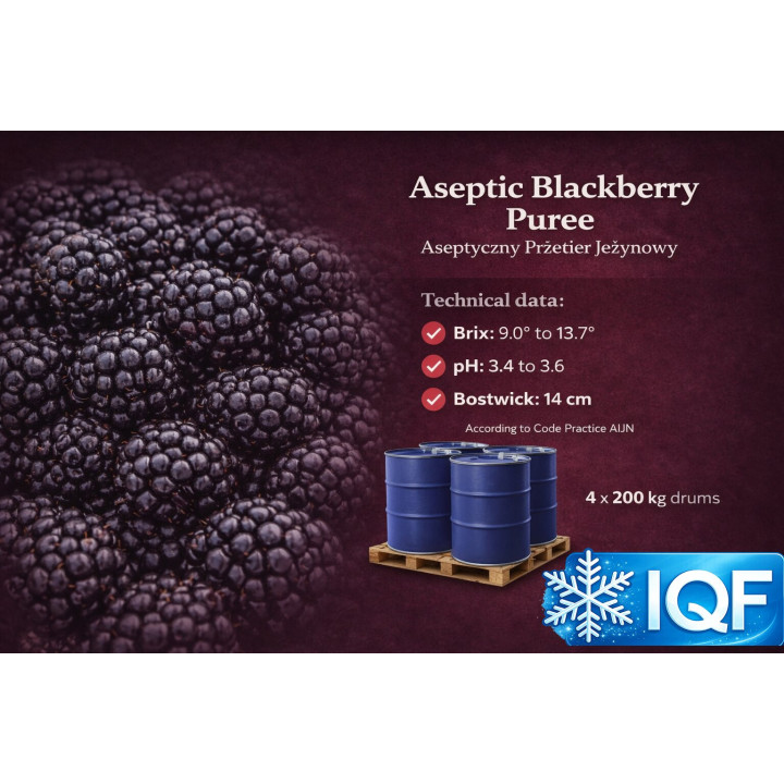 Aseptic Blackberry Puree