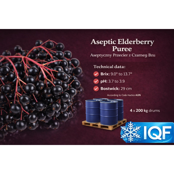Aseptic Elderberry Puree – 200 kg Drums | Poland