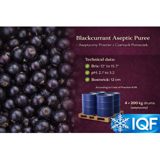 Aseptic Blackcurrant Puree – 200 kg Drums | Poland