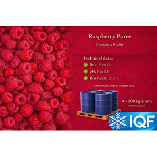 Frozen Raspberry Puree – 180 kg Drums | Poland