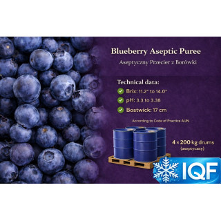 Blueberry Puree – 200 kg Drums | Poland