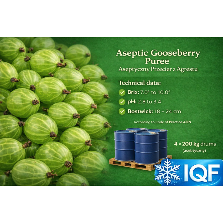 Gooseberry Puree – 200 kg Drums | Poland