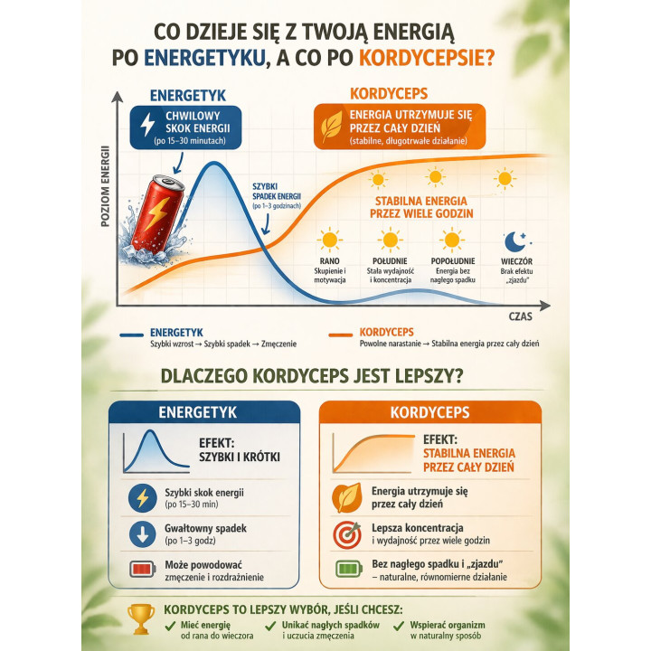 Suszony Kordyceps Militaris 100 g – opakowanie próżniowe - 30 800 szt