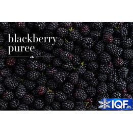 Blackberry Purée – Single Strength & Aseptic