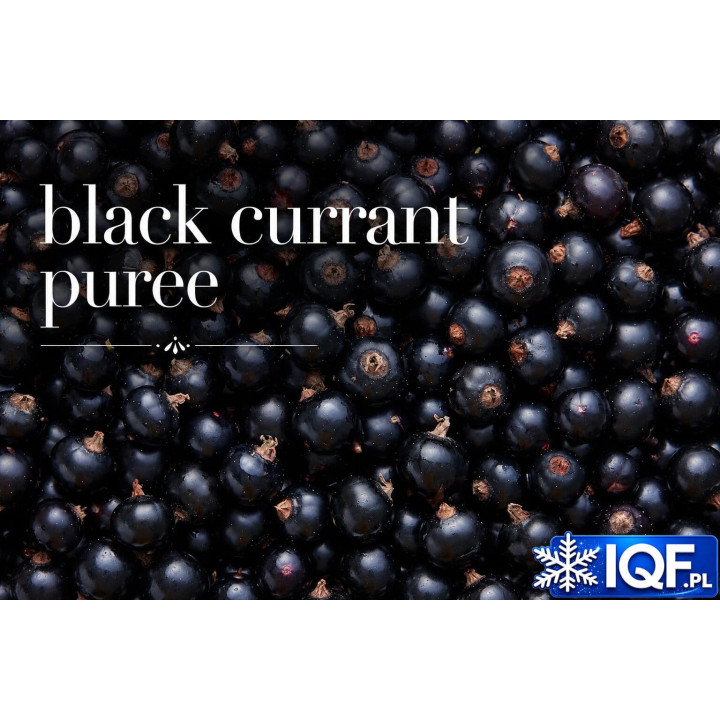 Blackcurrant Purée – Single Strength & Aseptic