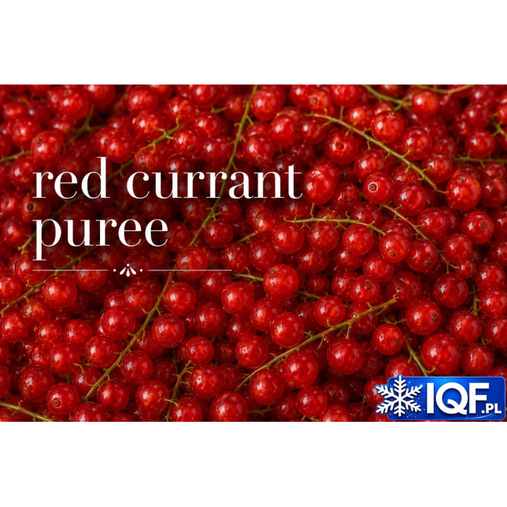 Redcurrant Purée – Single Strength & Aseptic