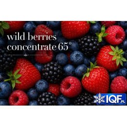Wild Berries Concentrate 65° Brix 250 kg | IQF.PL