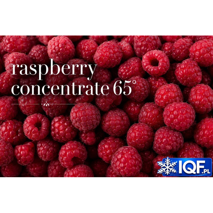 Aseptic Raspberry Concentrate 65° Brix – Bag in Box 20 kg