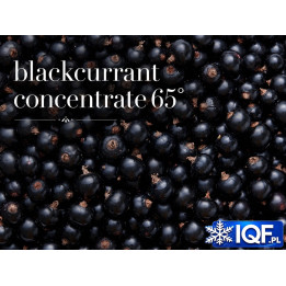 Blackcurrant Concentrate 65° Brix – Aseptic, 250 kg Drum