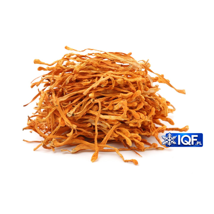 Cordyceps Militaris 100 g – suszony grzyb Maczużnik Bojowy grzyby