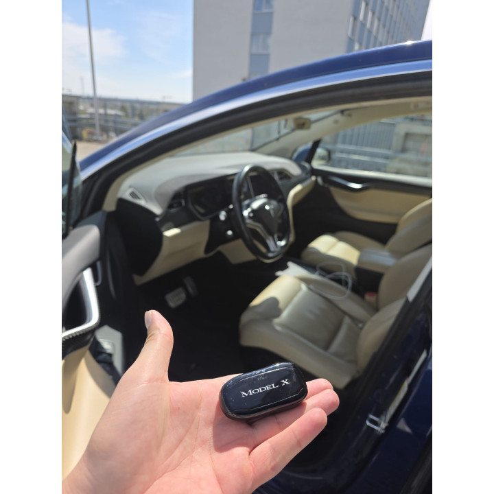 Tesla Model X P100D 2017 SC01 | IQF