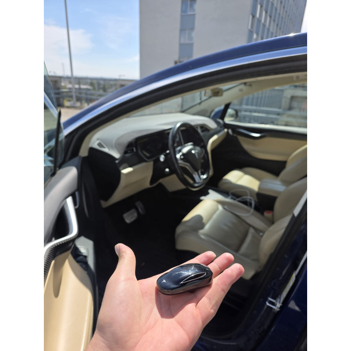 Tesla Model X P100D 2017 SC01 | IQF