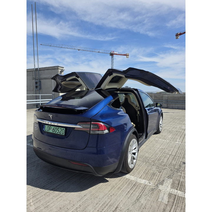 Tesla Model X P100D 2017 SC01 | IQF