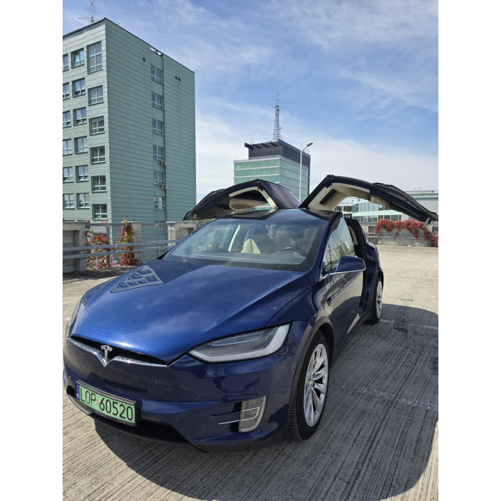 Tesla Model X P100D 2017 SC01 | IQF