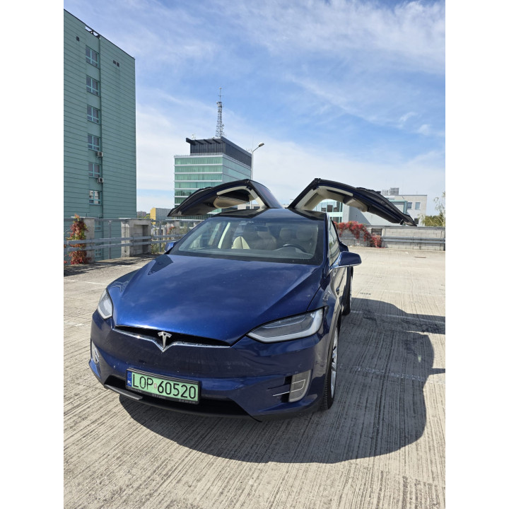 Tesla Model X P100D 2017 SC01 | IQF