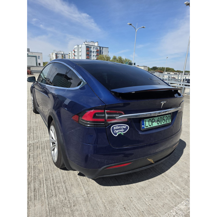 Tesla Model X P100D 2017 SC01 | IQF