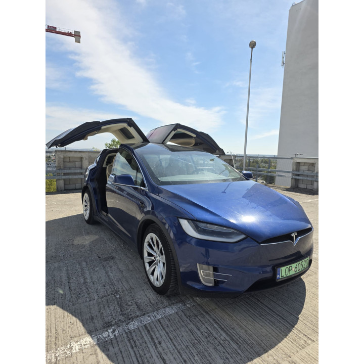 Tesla Model X P100D 2017 SC01 | IQF