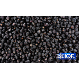 IQF Frozen Blackcurrants Class I | Frozen Fruit