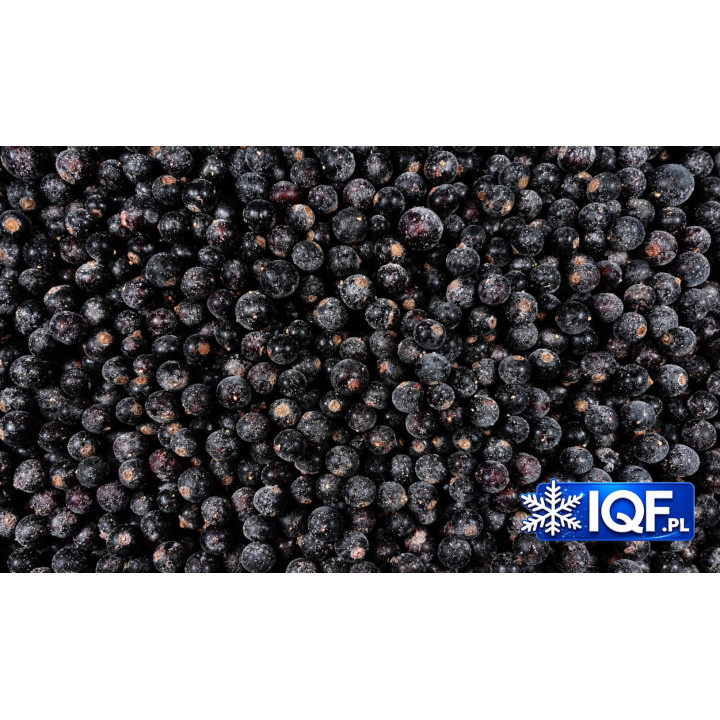 IQF Frozen Blackcurrants Class I | Frozen Fruit